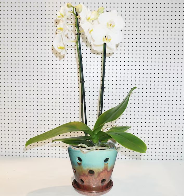5.5-in W x 5.28-in H Copper Green Ceramic Contemporary/Modern Indoor/Outdoor Planter