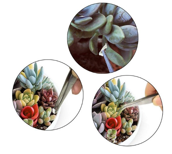 16 Pieces Succulent Tools Mini Garden Hand Tools Set, Miniature Garden Tool for Plant Care