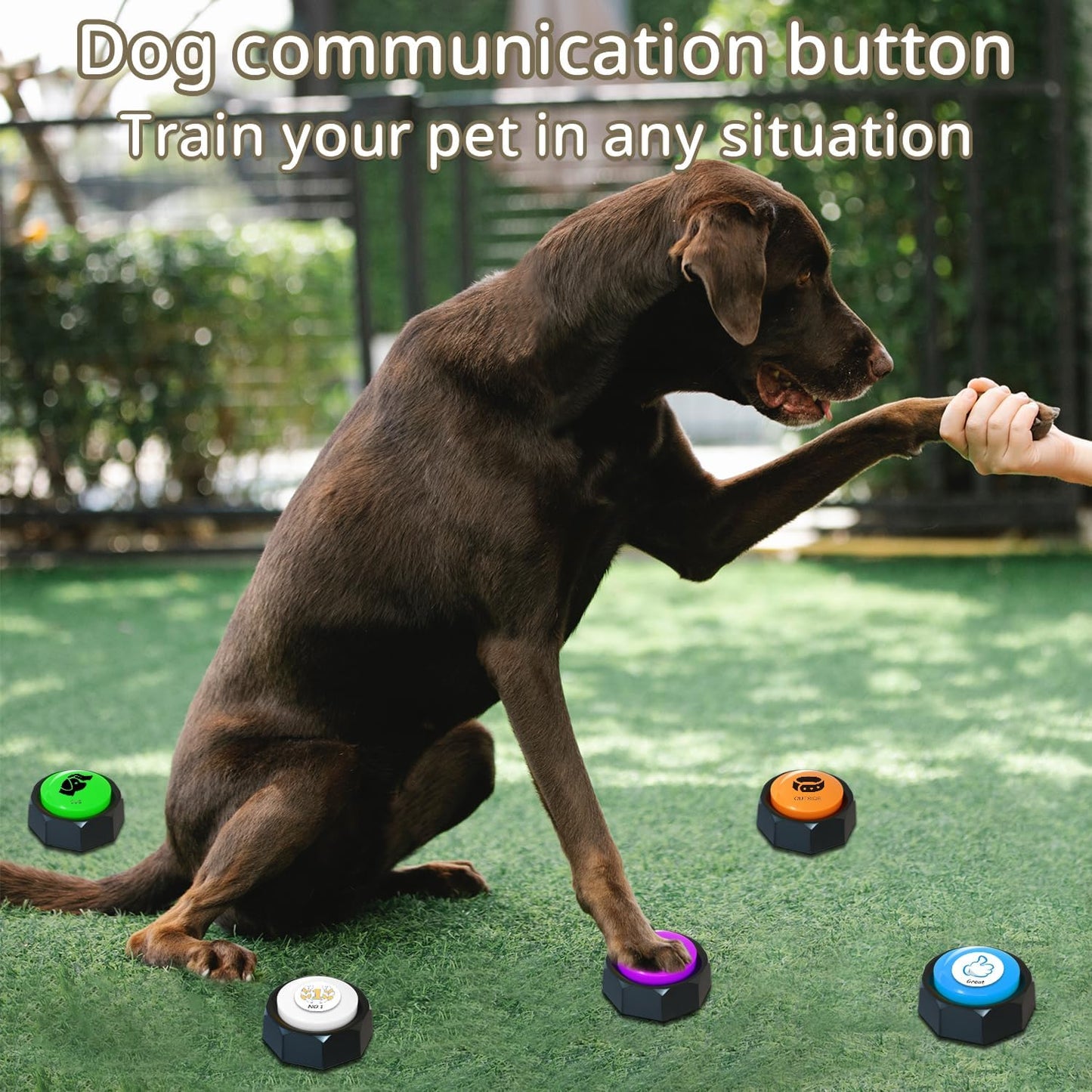 RIBOSY Dog Buttons for Communication, 6 Pcs Dog Speech Training Buzzers, Recordable Buttons with 50 Training Stickers